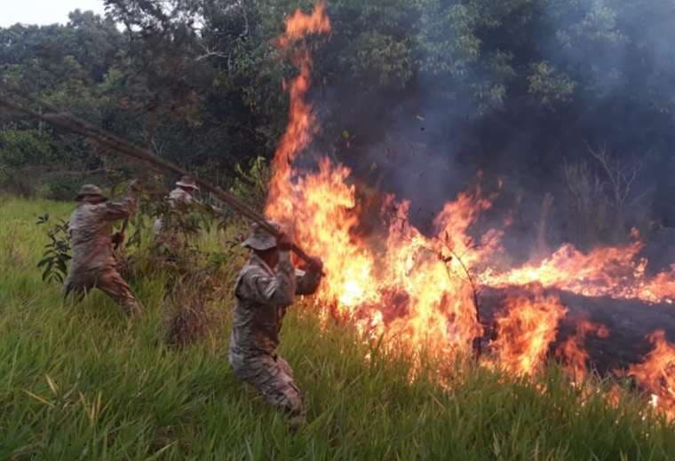 Incendios inusuales se dieron el año pasado en la Amazonía