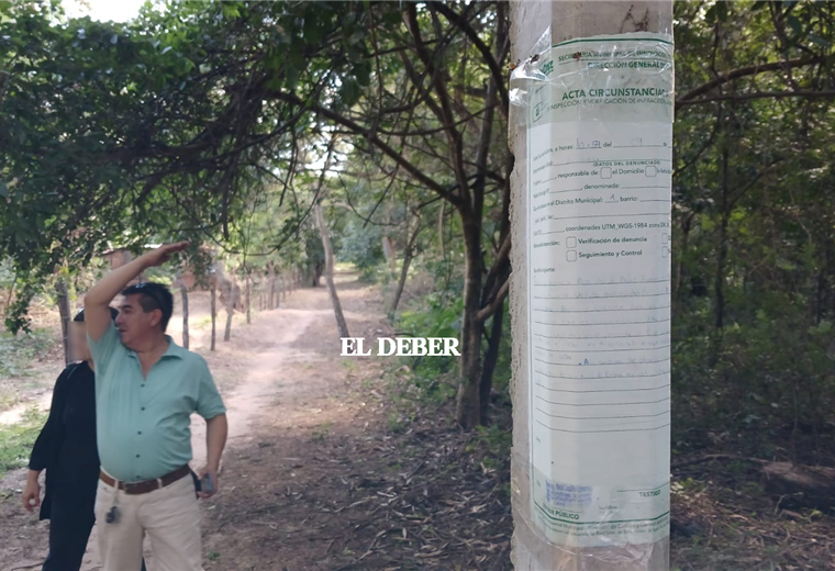 El camino vecinal en el Cordón fue descubierto este domingo. Foto. Ricardo Montero  