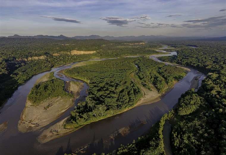 Río Tuichi, en el Parque Nacional Madidi. Foto: Omar Torrico/ WCS Bolivia.