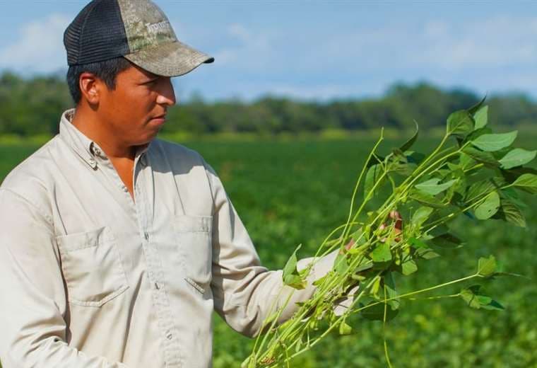 La nueva clasificación de predios es voluntaria