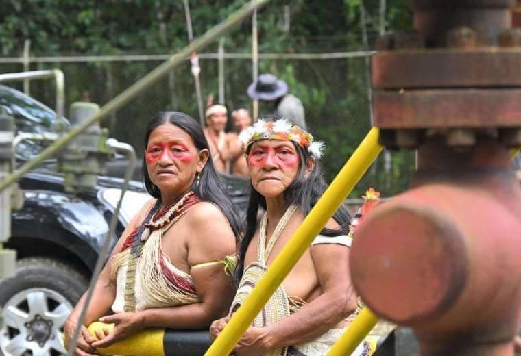 Por qué Ecuador sigue explotando petróleo en el Parque Yasuní un año después del histórico referendo en el que se votó a favor de prohibirlo